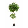 Artificial Pachira EURELYO, real stem, 6ft/180cm