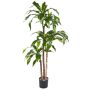 Artificial Dracaena Fragrans LAURA, real stems, green, 4ft/120cm