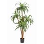 Artificial Dragon tree JALA, real stems, green-white, 4ft/120cm