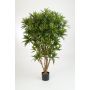 Artificial Dracaena Reflexa Jamaica AMELIA, real stems, green, 5ft/145cm