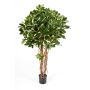 Artificial Schefflera SIENNA, real stems, green-white, 6ft/170cm