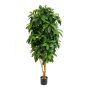 Fake Schefflera MADDISON, natural stems, green, 6ft/170cm