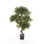 Artificial Pittosporum ETHAN, natural stem, 4ft/120cm