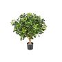 Artificial Pittosporum ETHAN, natural stem, 26"/65cm, Ø 26"/65cm