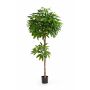 Artificial Pachira EURELYO, real stem, hardly inflammable, 6ft/180cm