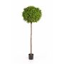 Artificial Boxwood tree TOM, real stem, 6ft/170cm, Ø 26"/65cm