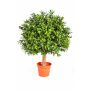 Artificial Buxus ball TOM, natural stem, 18"/45cm, Ø 12"/30cm