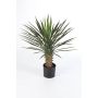 Artificial Yucca rostrata RAFFAELA, 31"/80cm
