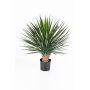 Artificial bushy Yucca rostrata RAFFAELA, 31"/80cm