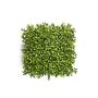 Artificial Boxwood mat TOM, 10"x10"/25x25cm