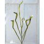 Artificial dragon willow branch ADELFOS, green, 4ft/115cm