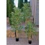 Artificial bamboo SEUMAS, real bamboo canes, 4ft/120cm