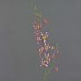 Artificial branch Cattleya orchid TRASSA, fuchsia-white-yellow, 31"/80cm