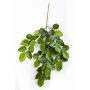 Artificial beech branch ERICK, flame retardant, 30"/75cm