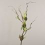 Artificial corkscrew willow branch RODRIK, moss, fern, brown-green, 31"/80cm