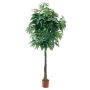 Decorative pachira ARONSA, artificial trunk, 6ft/180cm