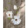 Artificial magnolia spray FINAH, cream-white, 3ft/90cm, Ø3.5"-5.9"/9-15cm