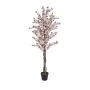 Cherry tree KUMIKO, pink, 5ft/150cm
