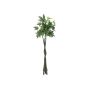 Fake plant Pachira JAKINTZA, artificial stems, 160cm