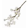 Artificial Apple blossom spray LINDJA, white, 3ft/105cm