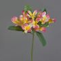 Artificial frangipani ALDAH, pink-yellow, 28"/70cm, Ø2"/5cm