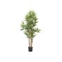 Fake Bamboo ELISSO, real bamboo canes, green, 4ft/120cm