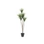 Fake Dracaena Marginata KRISHAN, 4ft/130cm