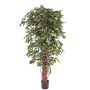 Fake ficus benjamina BERGLIND, natural trunks, green, 6ft/180cm