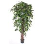 Fake ficus benjamina BERGLIND, natural trunks, green, 7ft/210cm