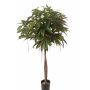 Fake pachira CASSY, natural trunks, 5ft/150cm