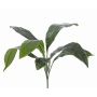 Fake aspidistra VASCO on spike, 22"/55cm