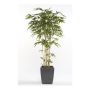 Artificial bamboo SADASHI, natural stems, 7ft/205cm