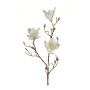 Artificial magnolia MALVAO, cream, 3ft/90cm