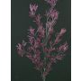 Artificial larch spray FLEKY, glitter, purple, 30"/75cm