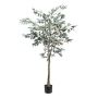 Decorative tree Olive tree MAUME, artificial stem, fruit, 5ft/150cm