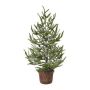 Decorative tree Spruce MALKE in decorative pot, snow-covered, 26"/65cm
