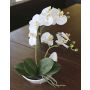 Decorative Phalaenopsis orchid ZARMINAH in ceramic bowl, white, 14"/35cm