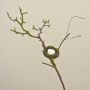 Artificial apple branch INDIKIRKA with bird's nest, moss, brown-green, 30"/75cm