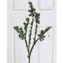 Plastic birch spray THOMA with moss, green, 3ft/100cm