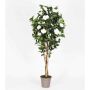 Fake camellia JEMIMANE, natural stems, with flowers, white, 4ft/125cm - Made in Italy