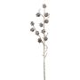 Decorative branch Larch BORIKA with cones, frosted, white-brown, 33"/85cm