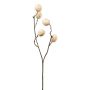 Decorative branch Walnut VOLTER with fruits, cream, 28"/70cm