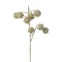 Artificial plane tree branch VELMOR with fruits, green-gold, 33"/85cm