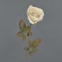Artificial rose NAJMA, cream, 26"/65cm, Ø4.3"/11cm