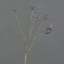 Artificial poppy capsules ASUMAN, dark brown, 28"/70cm