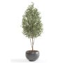 Artificial olive tree DEACON, real trunk, with fruits, 6ft/170cm