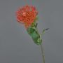 Artificial Protea HERVAS, red, 28"/70cm