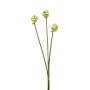 Artificial allium flower bundle LAMDA, cream-green, 26"/65 cm