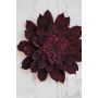 Artificial camellia blossom STEINKA, dark pink, Ø16"/40cm