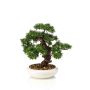 Artificial bonsai ficus MIRSANDA in bonsai bowl, 14"/35cm